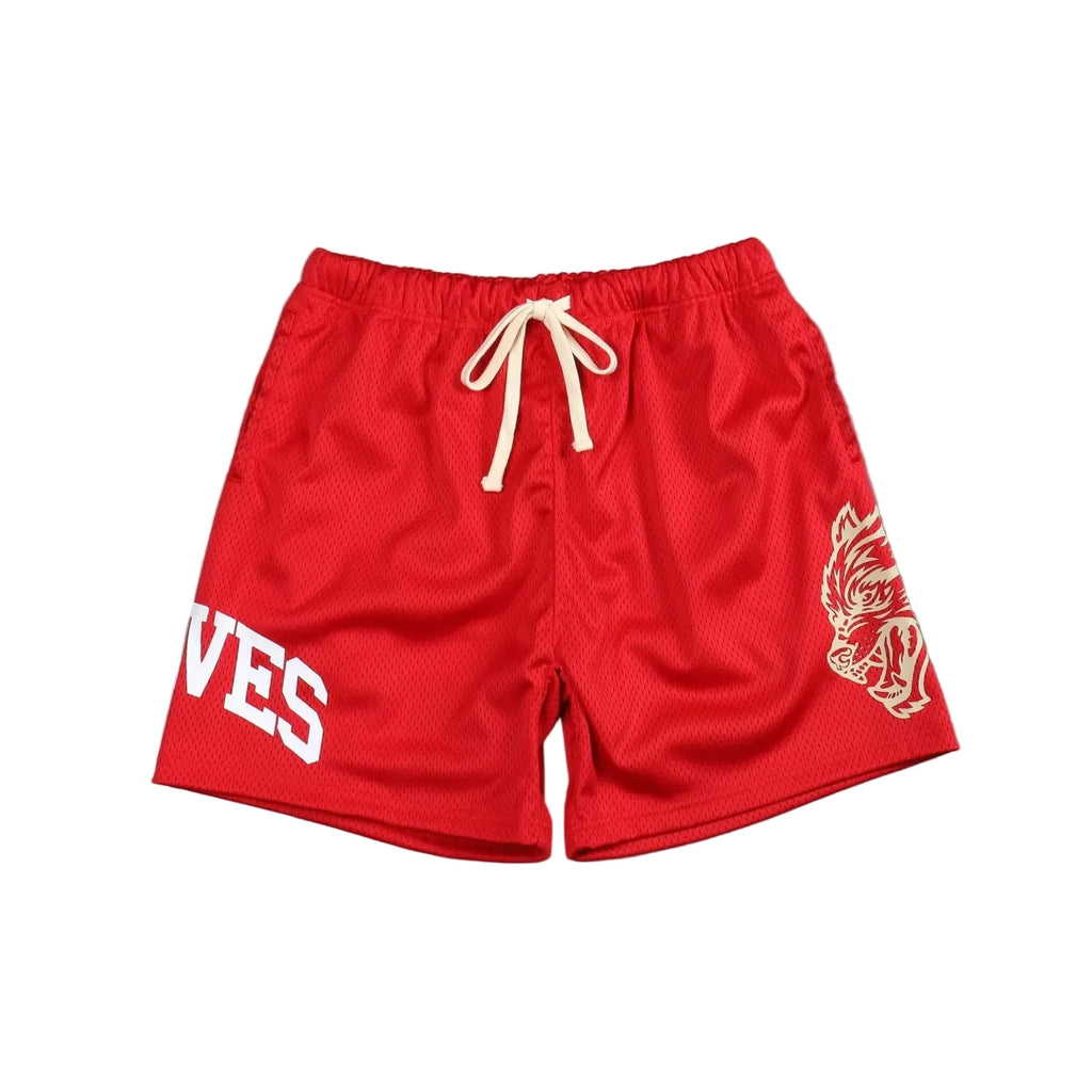 Stylish Mesh Beach Shorts