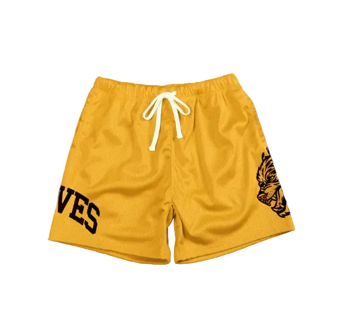 Stylish Mesh Beach Shorts