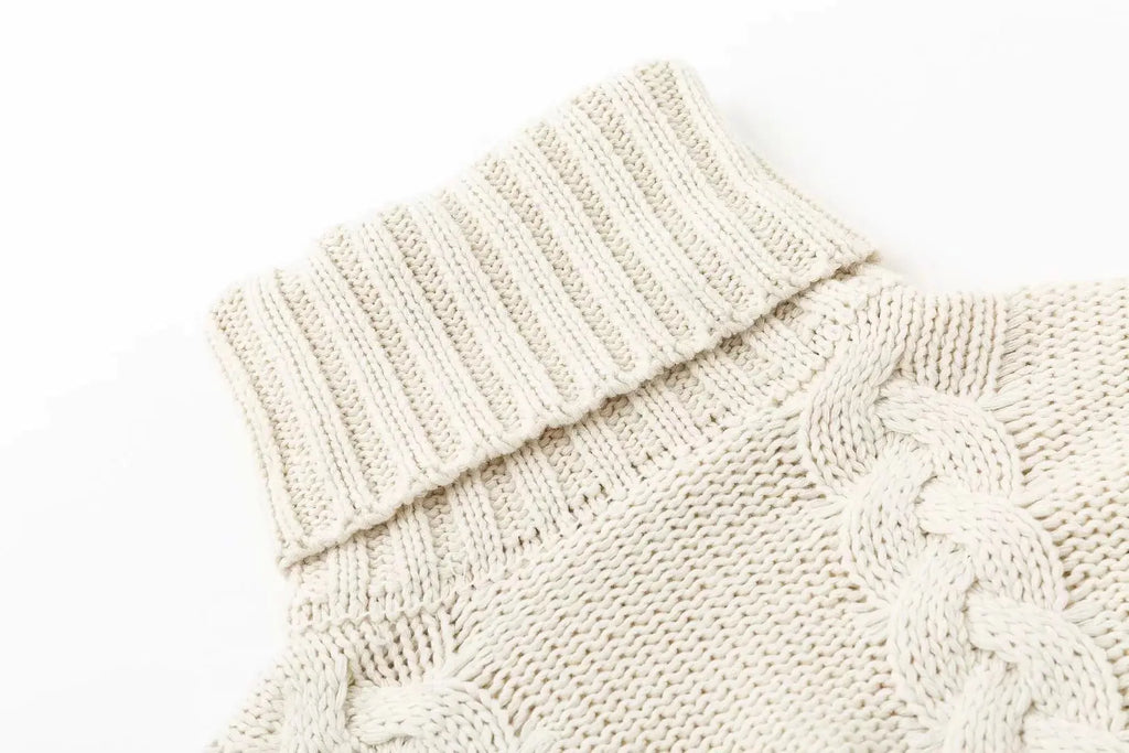 Solid Color Chunky Knit Turtleneck