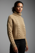 Solid Color Chunky Knit Turtleneck